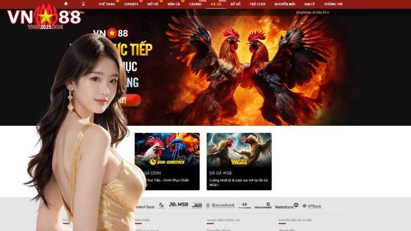 Đá gà trực tiếp VN88